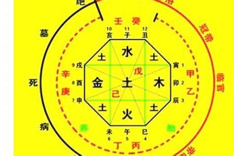 五行 喜忌查詢|生辰八字算命、五行喜用神查詢（免費測算）